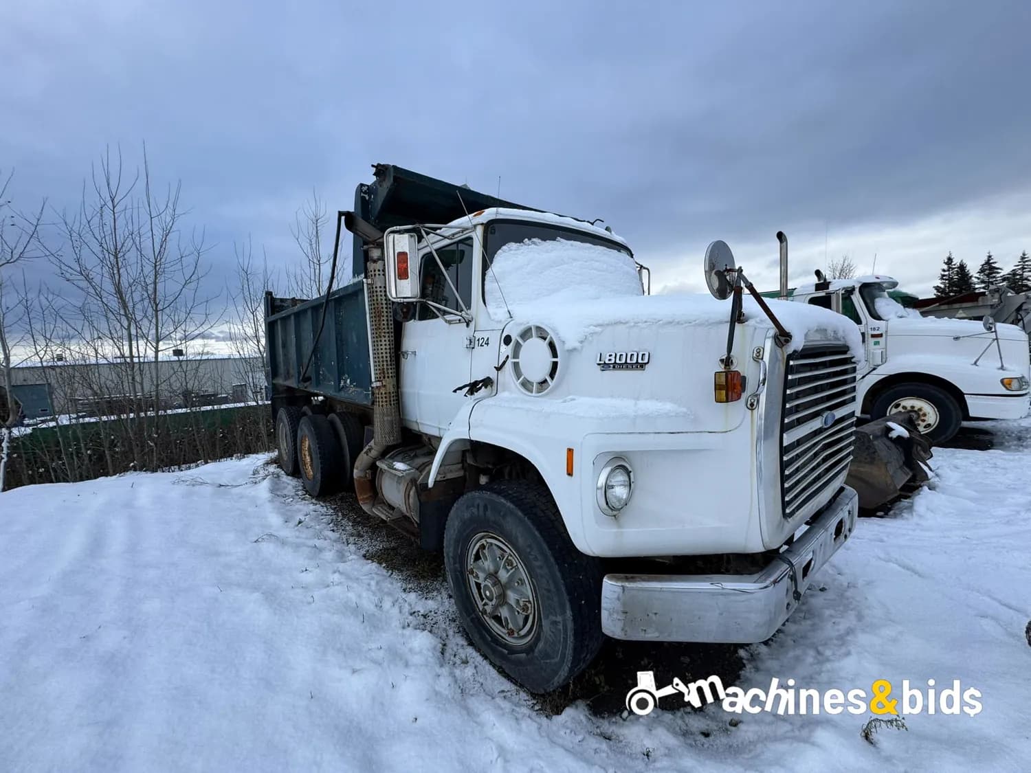 1989 FORD L8000 — photo 7