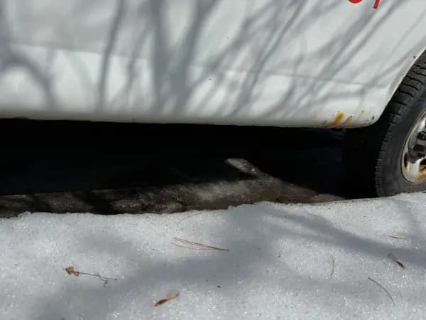 2010 GMC SAVANA G2500 — photo 5