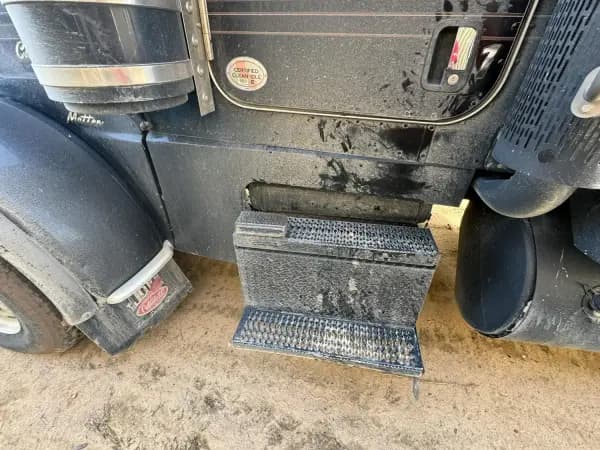 2020 PETERBILT 389 — photo 9